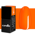 CORALLO® AURANTIACUS
